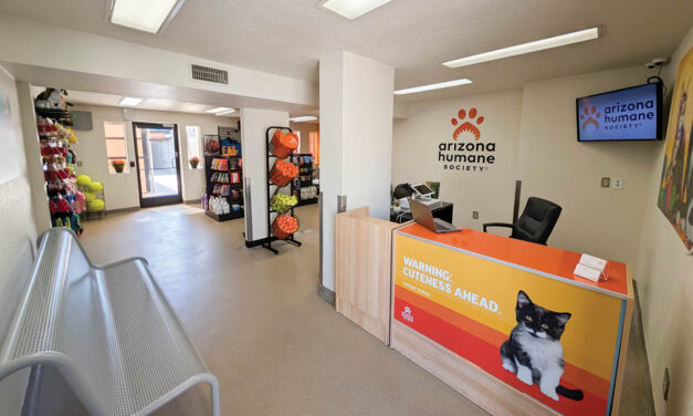 AHS campus reopens amid overcapacity crisis