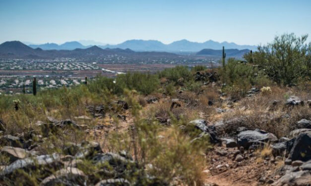 New hotline launched for park issues