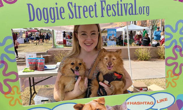 Doggie festival returns this month