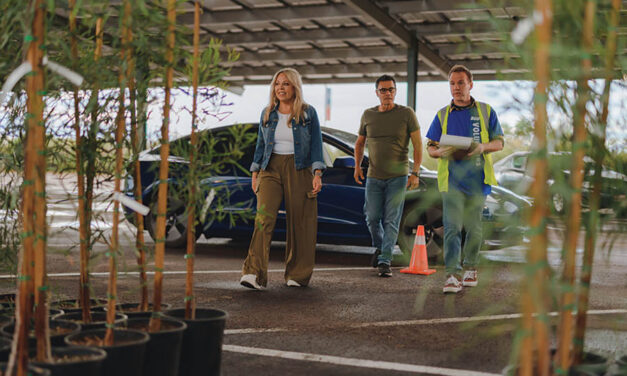 Tree workshops scheduled