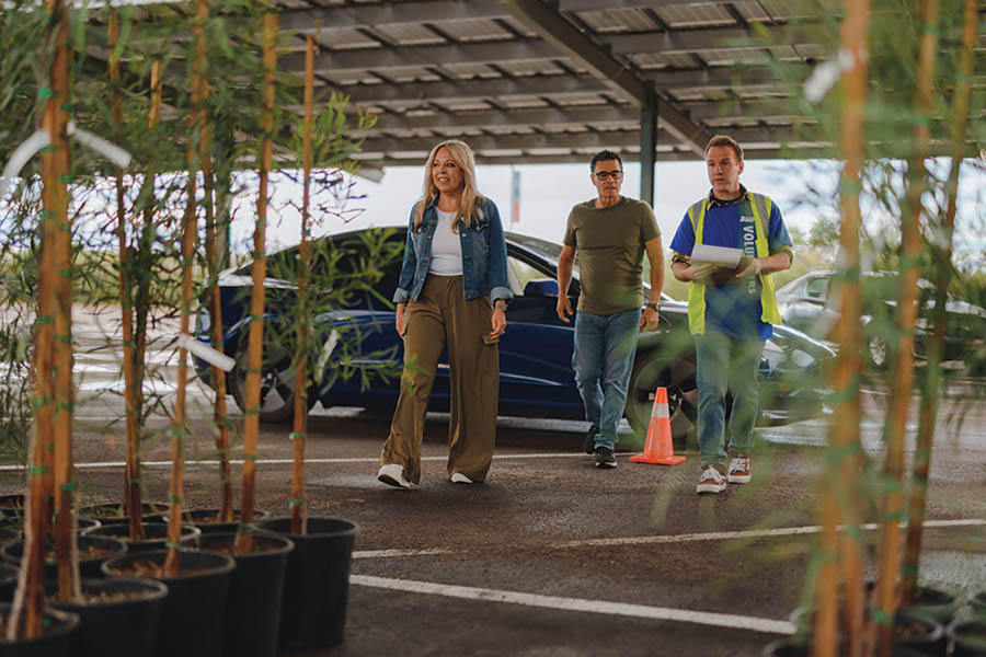 Tree workshops scheduled