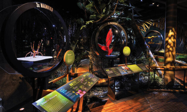 Discover ‘Power of Poison’