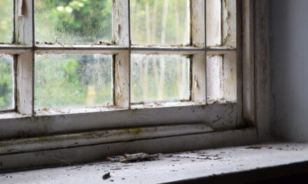 Is your home lead safe?