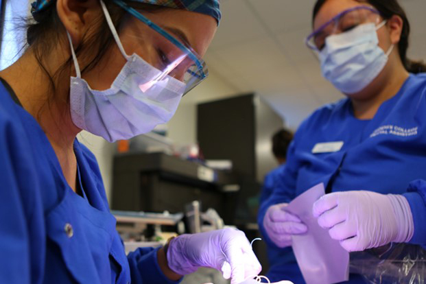 Clinic offers low-cost dental care