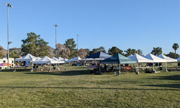 Slope Fest set for April 5