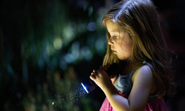 Flashlight Nights