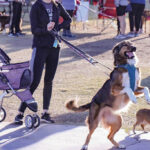 Save the date and walk for AAWL