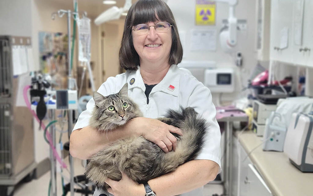 Vet celebrates 30 years of caring for our critters
