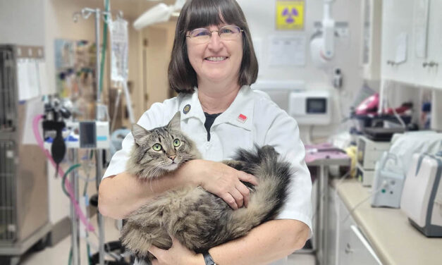 Vet celebrates 30 years of caring for our critters