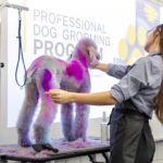 GateWay will offer dog grooming program