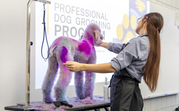 GateWay will offer dog grooming program