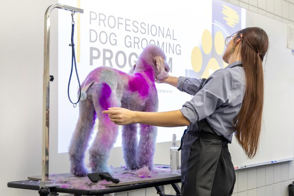 GateWay will offer dog grooming program