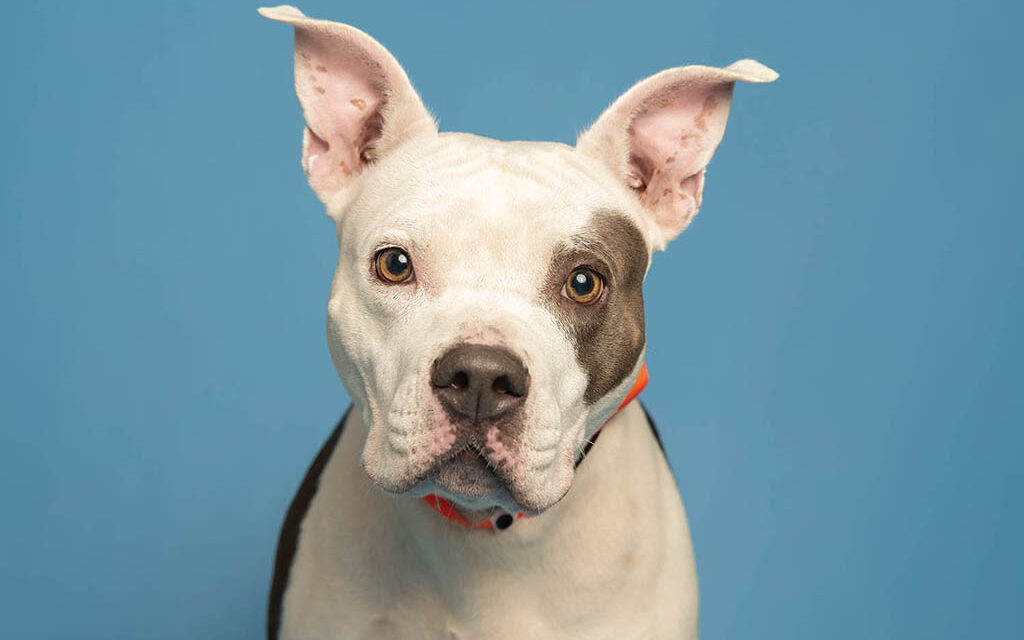 Lovely Luisa is looking for loving family