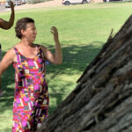 Start the day with Qi Gong