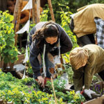 Seed event offers tools of resilience