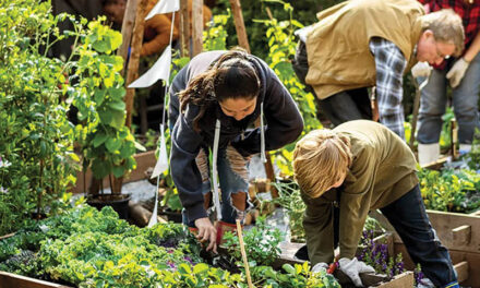 Seed event offers tools of resilience