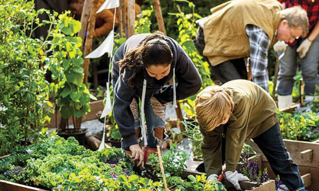 Seed event offers tools of resilience