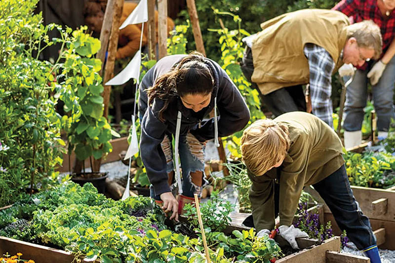 Seed event offers tools of resilience