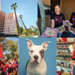 From the Editor: November 2025