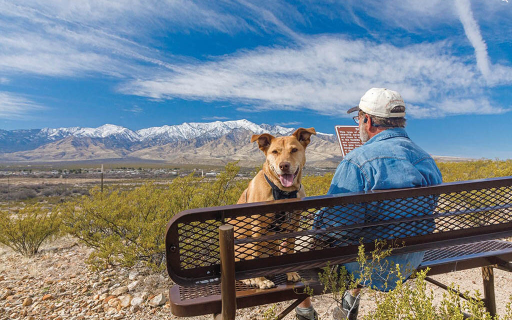 Get away at dog-friendly parks