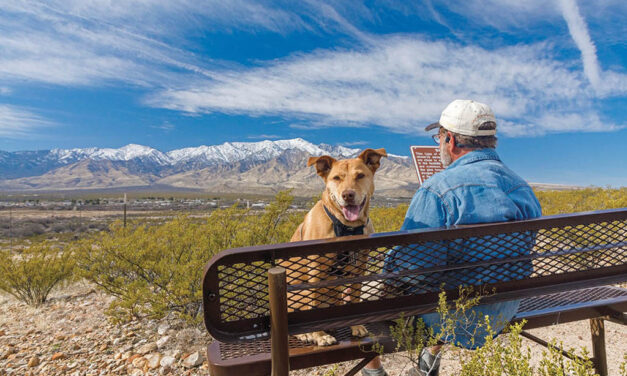 Get away at dog-friendly parks