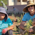 Public School Briefs – December 2025