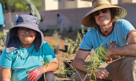 Public School Briefs – December 2025