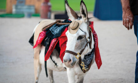 Fall event benefits local animal shelter