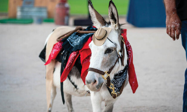 Fall event benefits local animal shelter