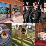 From the Editor: December 2025