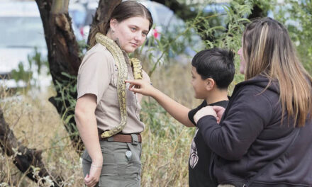 Get outdoors at Nature Fest