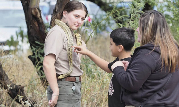 Get outdoors at Nature Fest