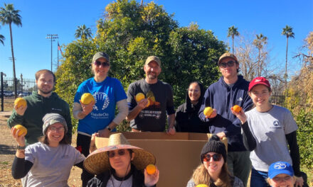 Volunteer in the New Year