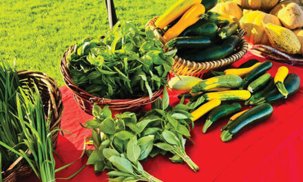 Farmers market celebrates the holiday season