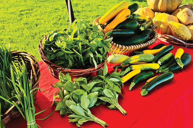 Farmers market celebrates the holiday season