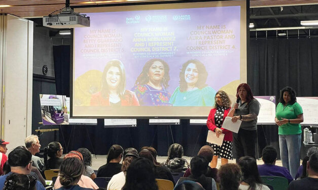 Light rail decision goes to council