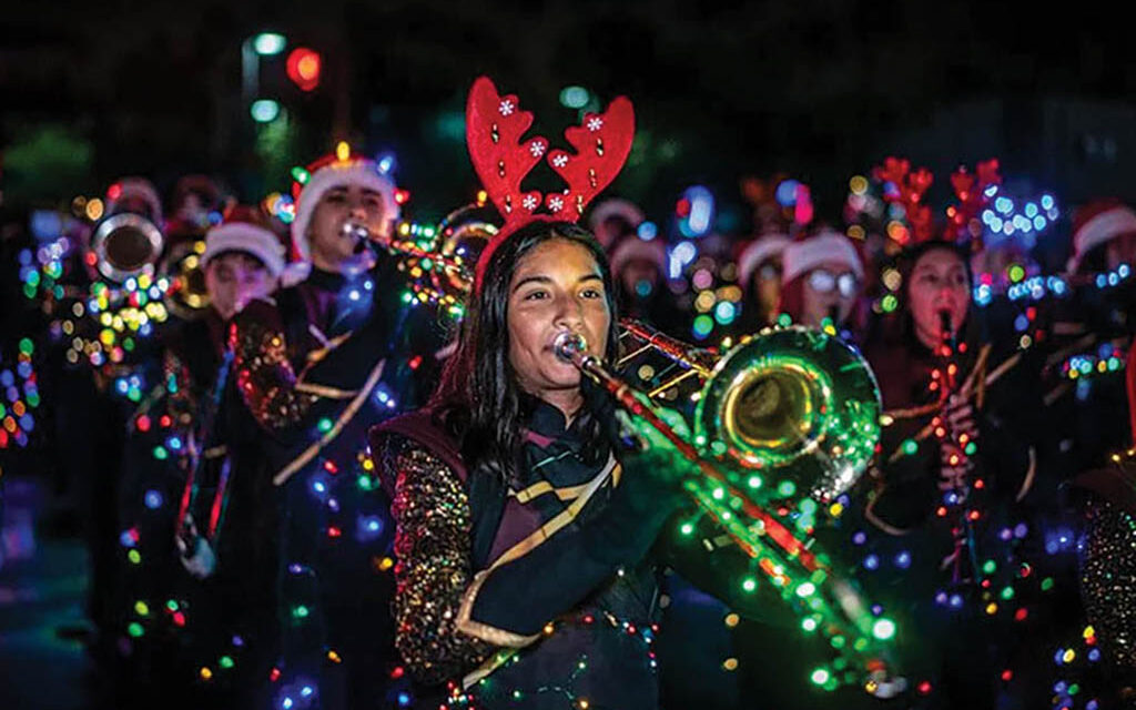 Annual parade lights up the night