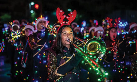 Annual parade lights up the night