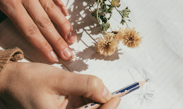 Nature Sketching Workshop