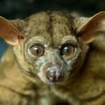 Free events bring community together