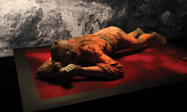 ‘Pompeii’ now open at Science Center