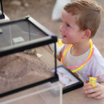 Garden hosts Seedlings events