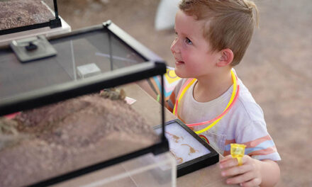 Garden hosts Seedlings events