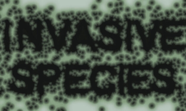 ‘Invasive Species’
