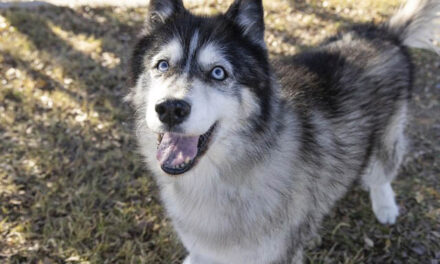 Sweet senior receives second chance