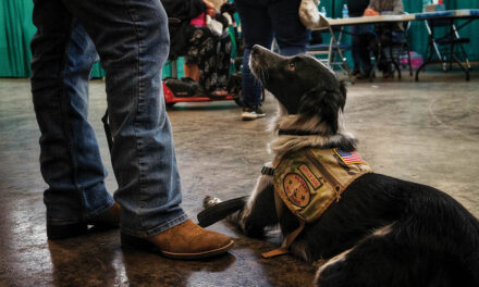 Pet Project receives grant