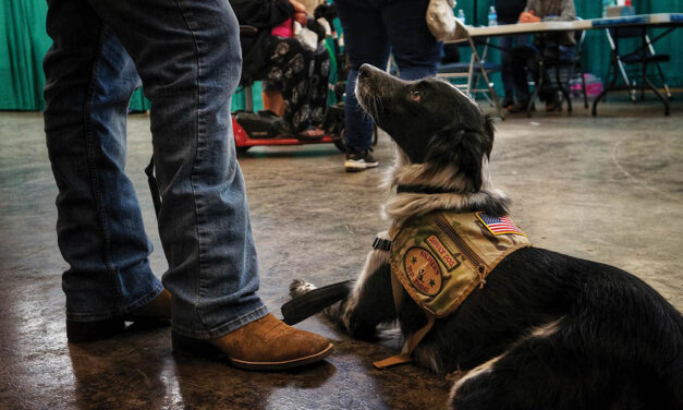 Pet Project receives grant