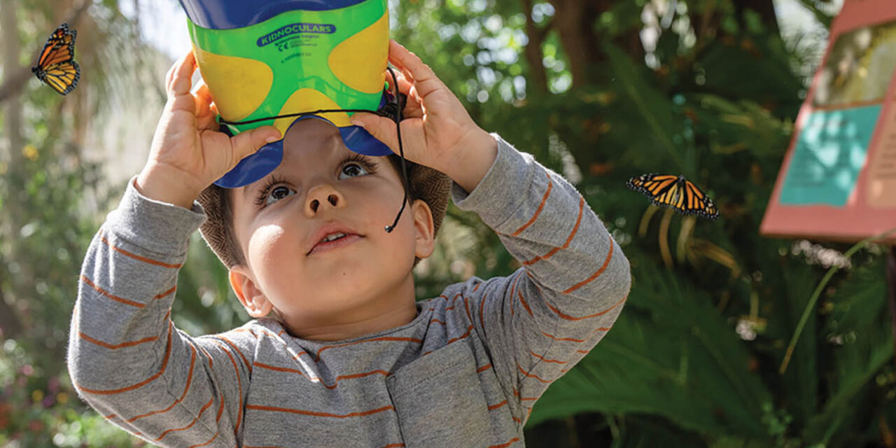 Celebrate spring with Majestic Mariposas