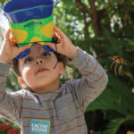 Celebrate spring with Majestic Mariposas