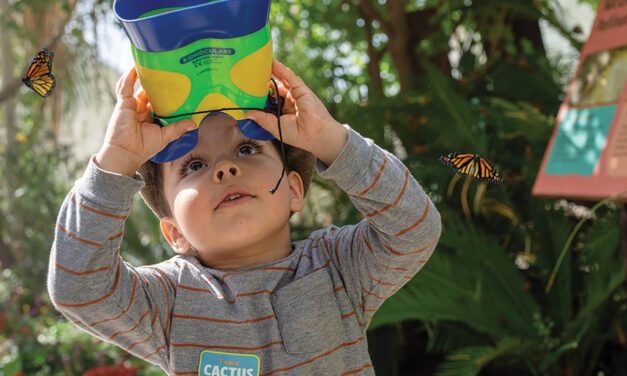 Celebrate spring with Majestic Mariposas